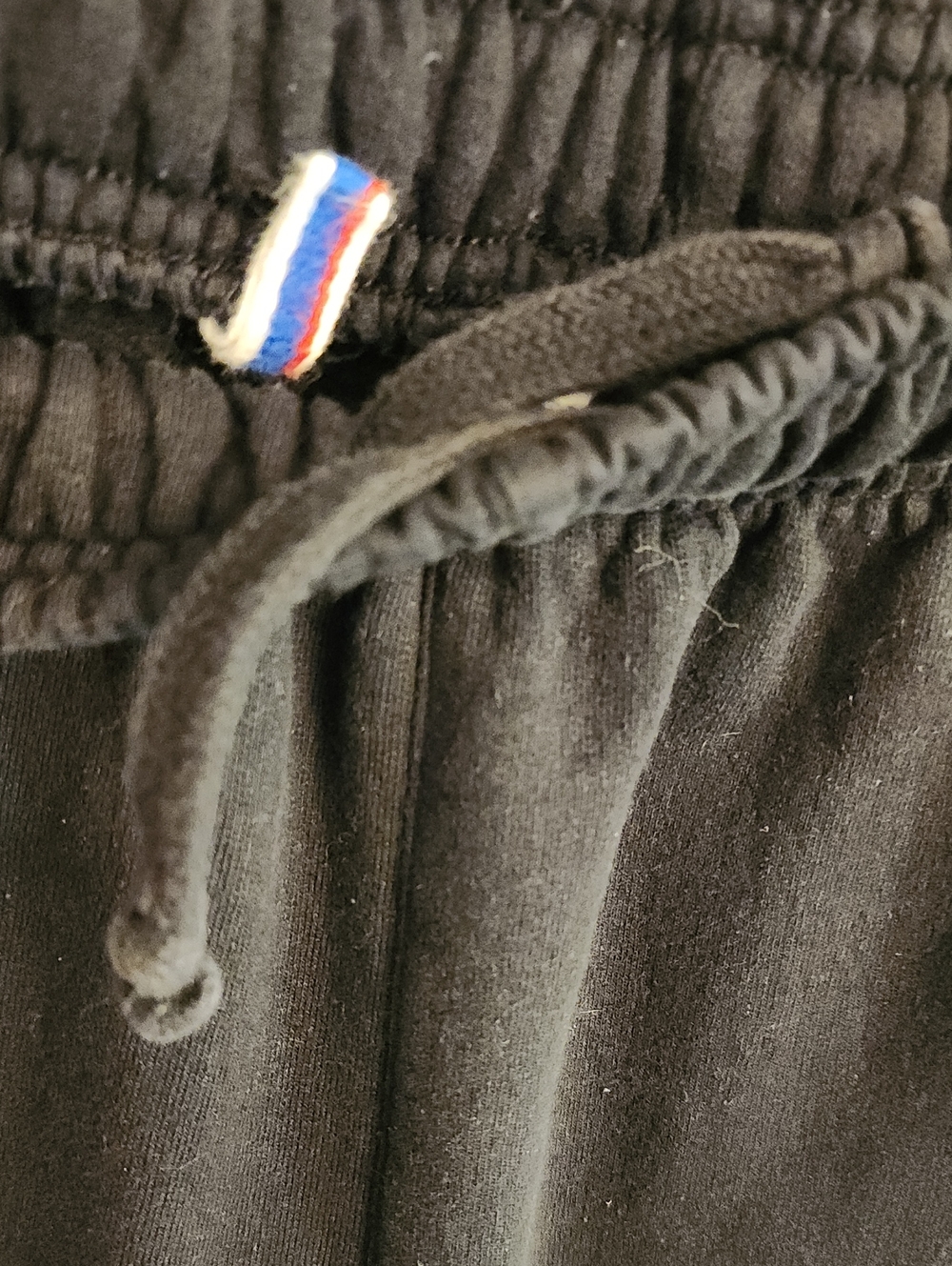Champion Classic Black Jogger Sweatpants - Picture 2 of 15
